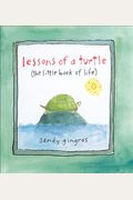 Lessons Of A Turtle: (The Little Book Of Life)