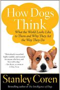 How Dogs Think: What The World Looks Like To Them And Why They Act The Way They Do