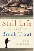 Still Life With Brook Trout