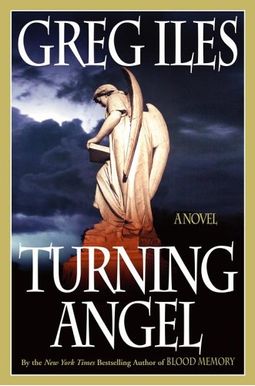Turning Angel Turning Angel