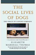 The Social Lives Of Dogs