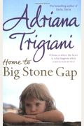 Home To Big Stone Gap A Novel Big Stone Gap Novels