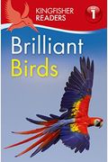 Kingfisher Readers L1: Brilliant Birds
