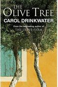 The Olive Tree: A Personal Journey Through Mediterranean Olive Groves