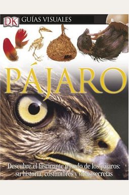 Pajaro Pajaro