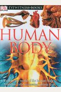 Human Body