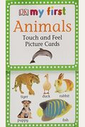 My First Touch And Feel Picture Cards: Animals