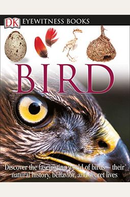 Bird Bird