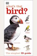 What's That Bird?: A Beginner's Guide