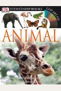 Animal [With Cdrom And Fold-Out Wall Chart]
