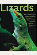 Lizards: A Natural History Of Some Uncommon Creatures:extraordinary Chameleons, Iguanas, Geckos, & More