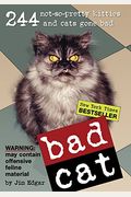 Bat Cat: 244 Not-So-Pretty Kitties And Cats Gone Bad: 244 Not-So-Pretty Kitties And Cats Gone Bad