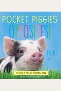 Pocket Piggies Opposites!: Featuring The Teacup Pigs Of Pennywell Farm