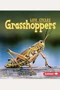 Grasshoppers (First Step Nonfiction (Paperback))