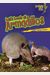Let's Look At Armadillos