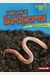 Let's Look At Earthworms (Lightning Bolt Books)