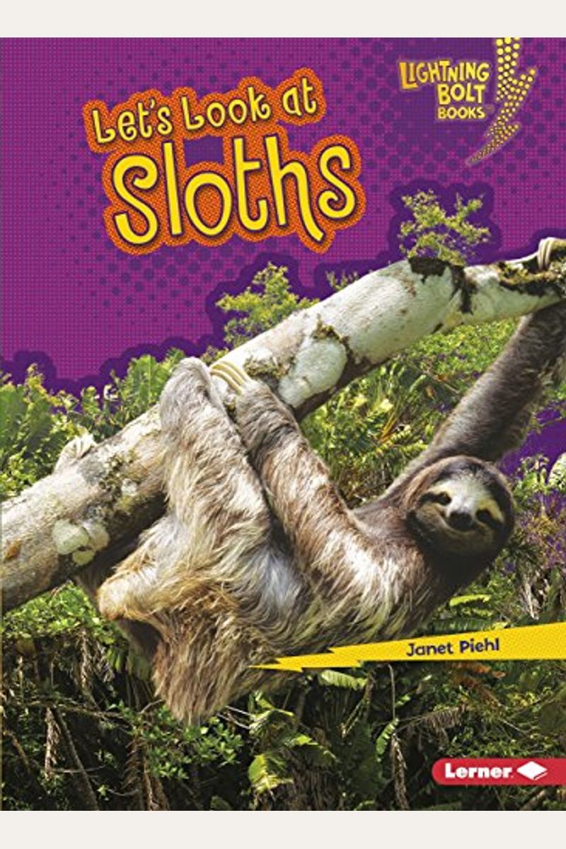 Let's Look At Sloths