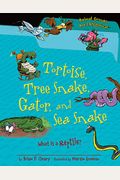 Tortoise, Tree Snake, Gator, And Sea Snake: What Is A Reptile? (Animal Groups Are Categorical) (Animal Groups Are Categorical (Paperback))