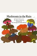 Mushroom In The Rain