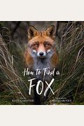 How To Find A Fox
