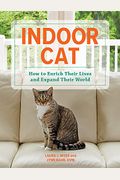Indoor Cat: How To Enrich Their Lives And Expand Their World
