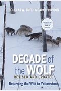 Decade Of The Wolf: Returning The Wild To Yellowstone