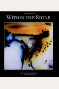 Within The Stone: Nature's Abstract Rock Art