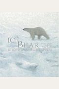 Ice Bear: In The Steps Of The Polar Bear