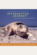 Interrupted Journey: Saving Endangered Sea Turtles