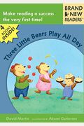 Three Little Bears Play All Day