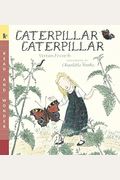 Caterpillar, Caterpillar
