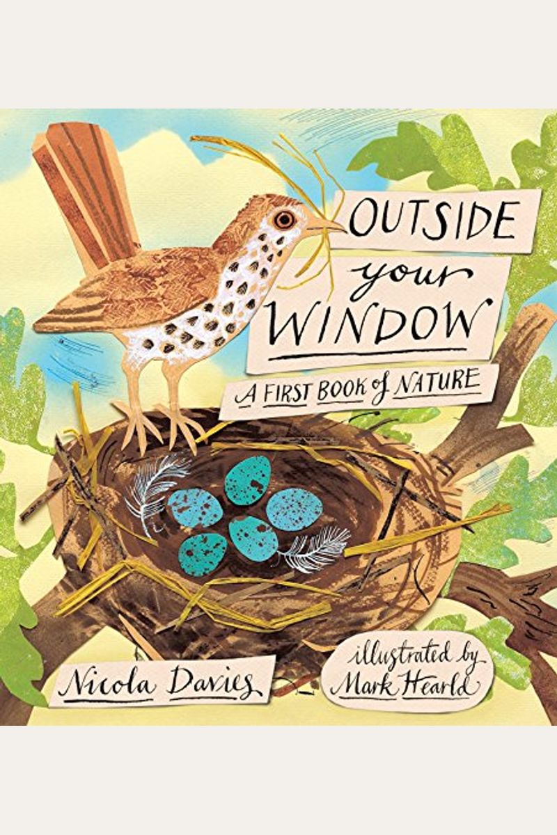 Outside Your Window: A First Book Of Nature