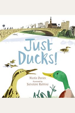 Just Ducks! Just Ducks!