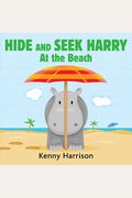 Hide And Seek Harry At The Beach