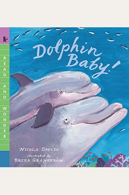 Dolphin Baby! Dolphin Baby!