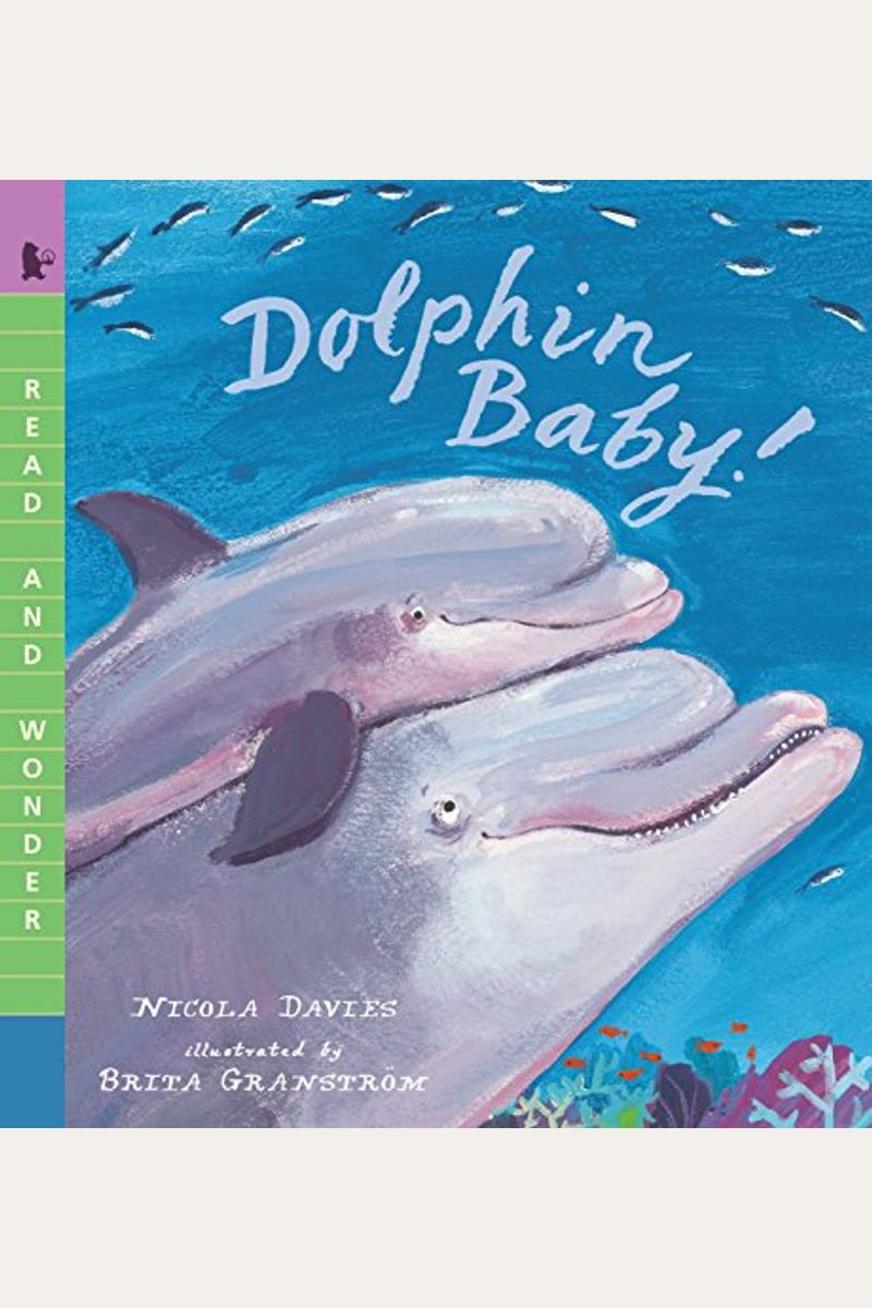Dolphin Baby!