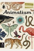 Animalium: Welcome To The Museum