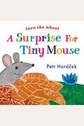 A Surprise For Tiny Mouse