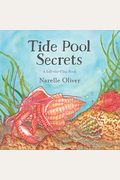 Tide Pool Secrets