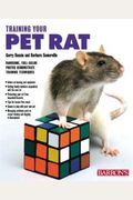 Training Your Pet Rat