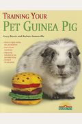 Training Your Pet Guinea Pig