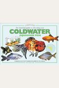 An Essential Guide To Choosing Your Cold Water Aquarium Fish