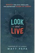 Look And Live: Behold The Soul-Thrilling, Sin-Destroying Glory Of Christ
