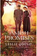 Amish Promises: Neighbors Of Lancaster County