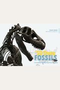 The 50 State Fossils: A Guidebook For Aspiring Paleontologists