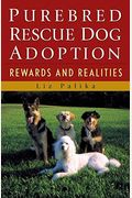 Purebred Rescue Dog Adoption: Rewards and Realities