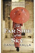 The Far Side Of The Sky