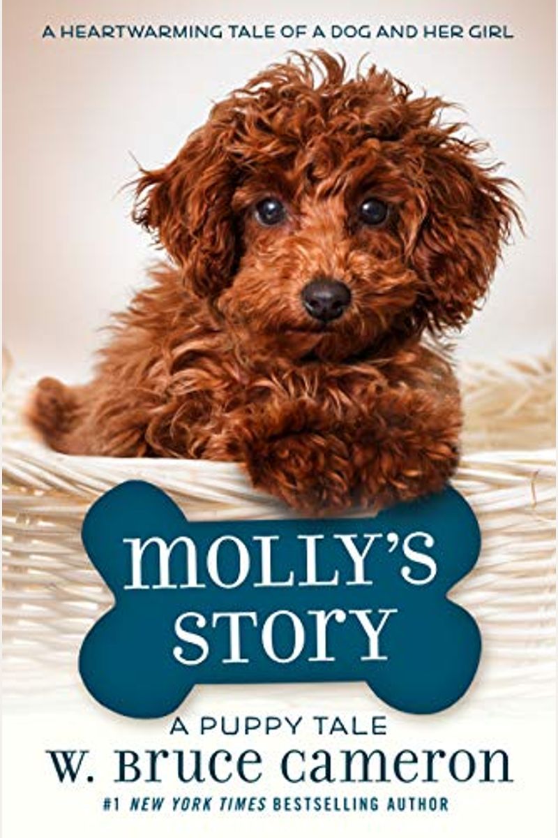Mollys Story A Dogs Purpose Novel