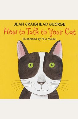 How to Talk to Your Cat How to Talk to Your Cat