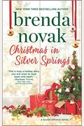 Christmas In Silver Springs
